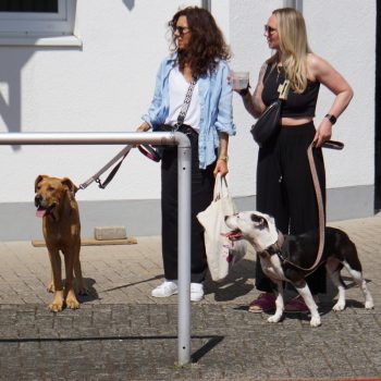 2024 05 TuS 1 Concordia Wiemelshausen (4)