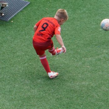 2025 09 TuS 1 -Vestia Disteln (5)